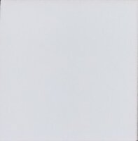 Villeroy & Boch Ersatzfliese SG 19  fünf eckig Art. 1191 2.Sortierung